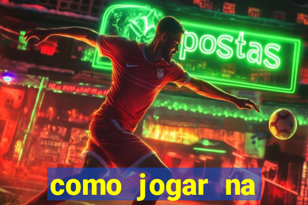 como jogar na teimosinha da lotofacil